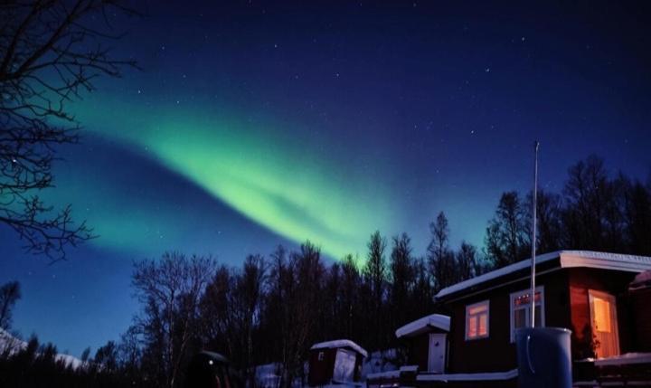 Cozy And Spacious Cabin Svensby Exterior foto